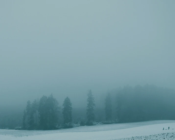 a foggy forest sitting in the middle of a snow covered field