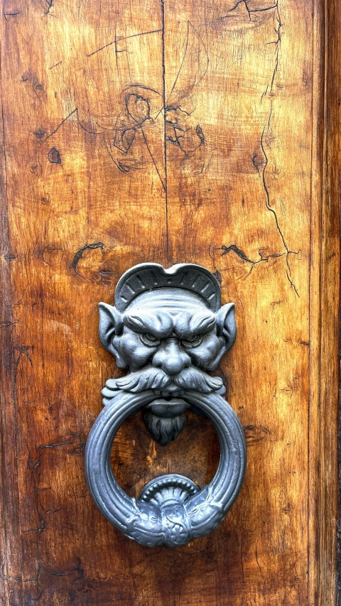 a door knocker on a wooden door with a small dragon head on the front