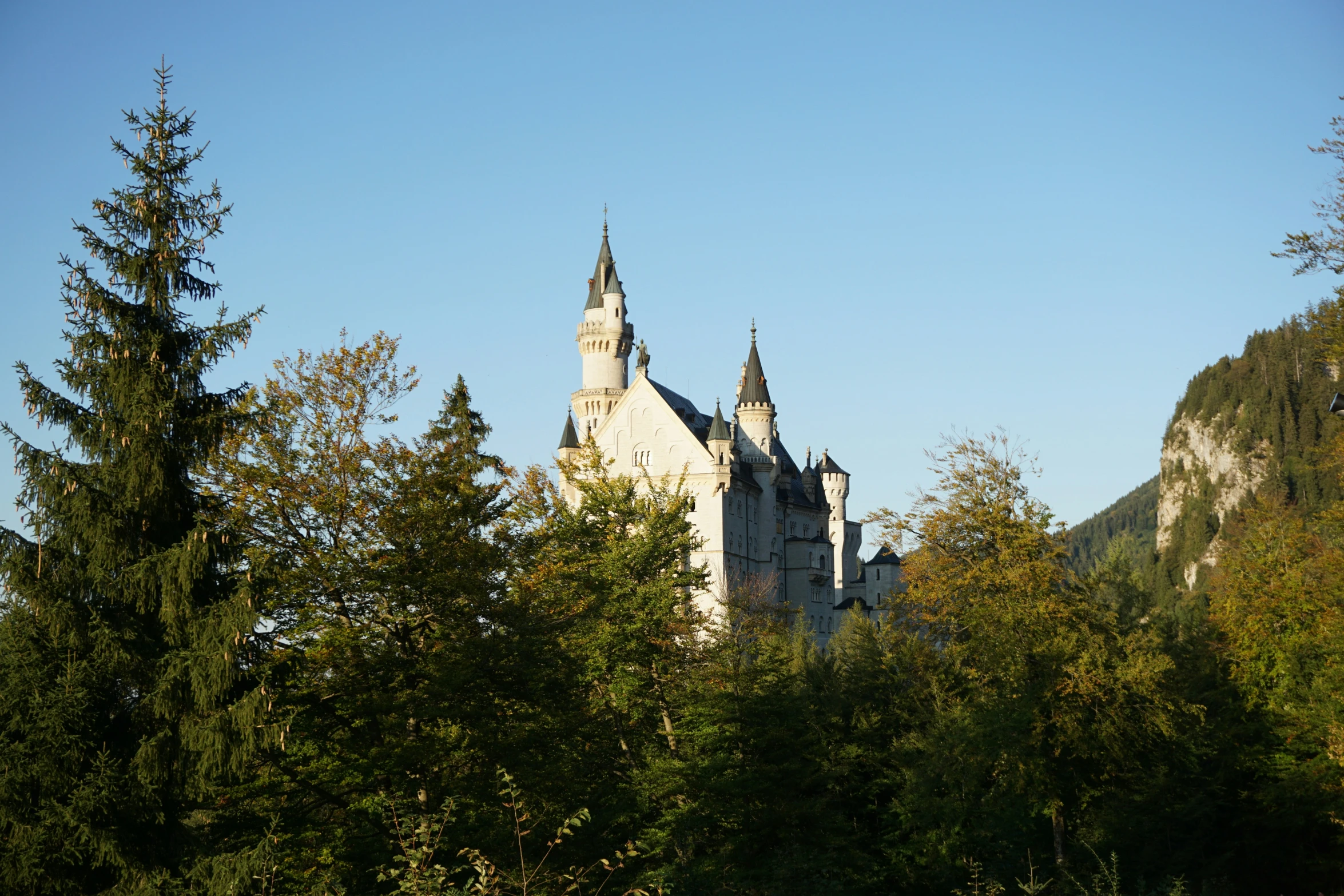 a castle surrounded by tall trees on a sunny day