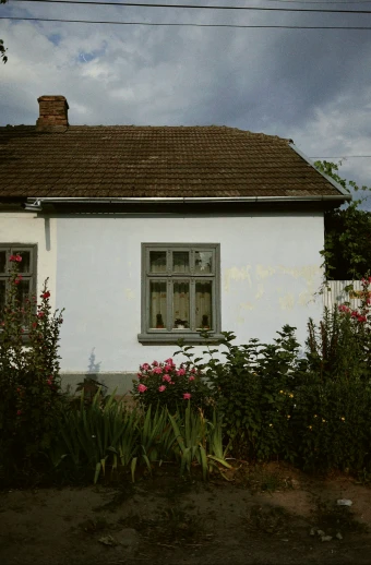 a small white building with a cat standing outside
