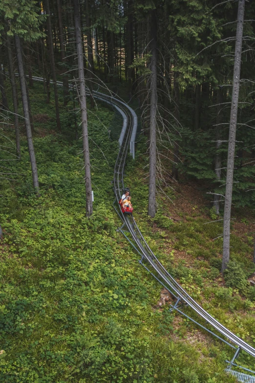 a person riding on a train traveling through the woods