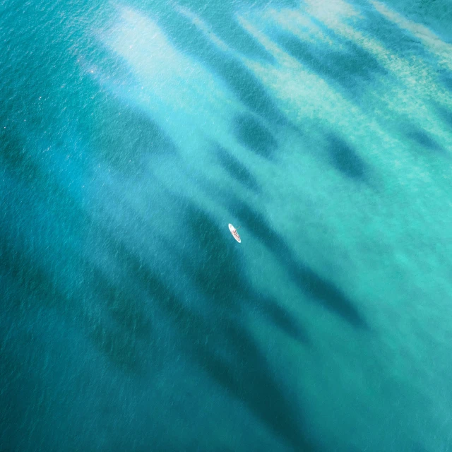 the bird's eye view of two people swimming in blue water