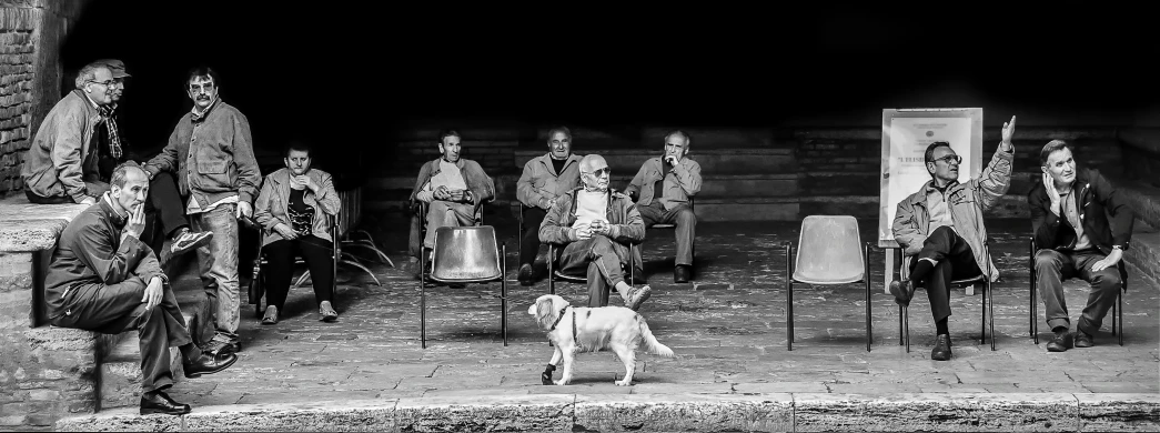 a white dog standing next to men in armor