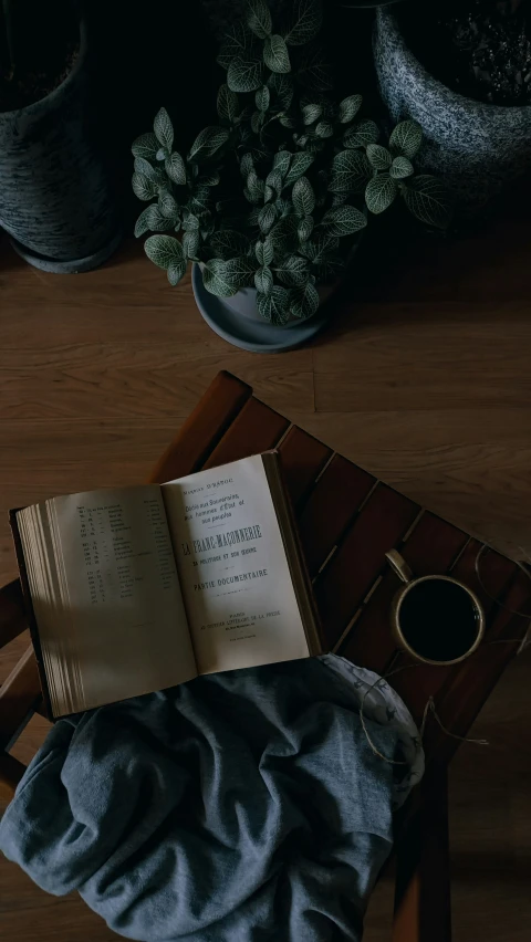 an open book on a desk by plants