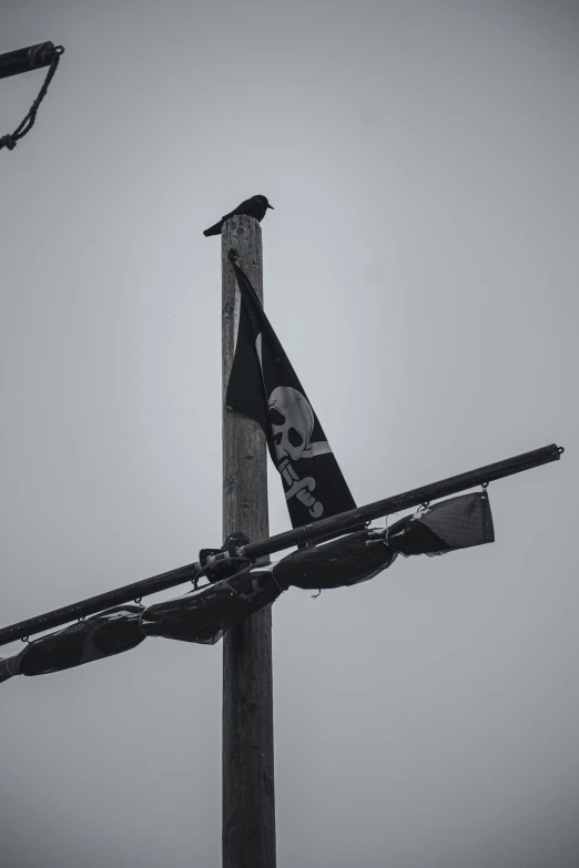 the side of an old wooden pole with two black and white flags hanging off it