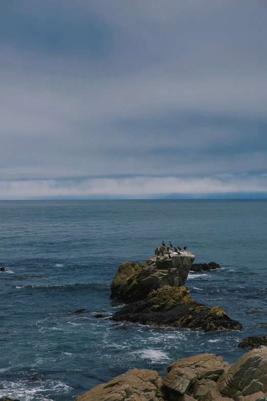 the birds are perched on top of the rocks by the water