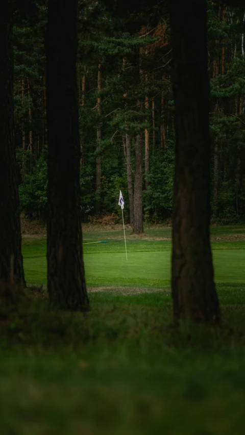 a person on a golf course holding a golf club