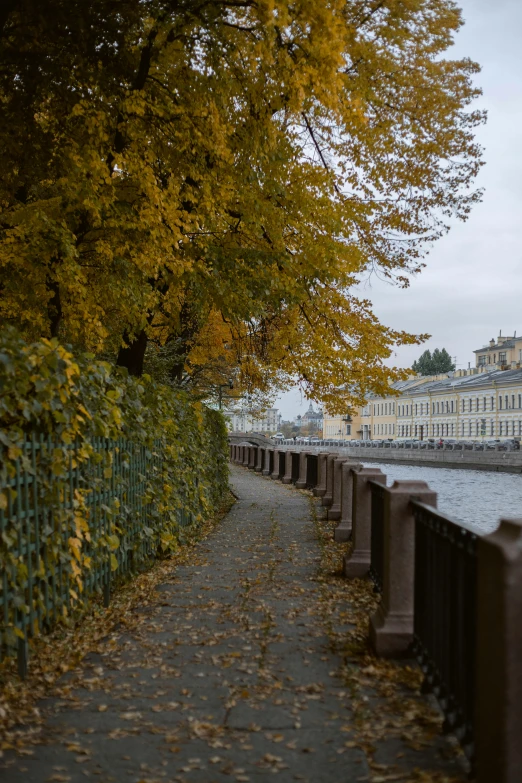 the sidewalk near the water has trees with yellow leaves
