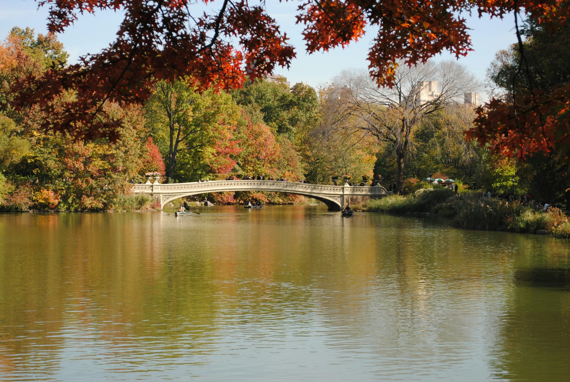 a bridge over the water near many trees