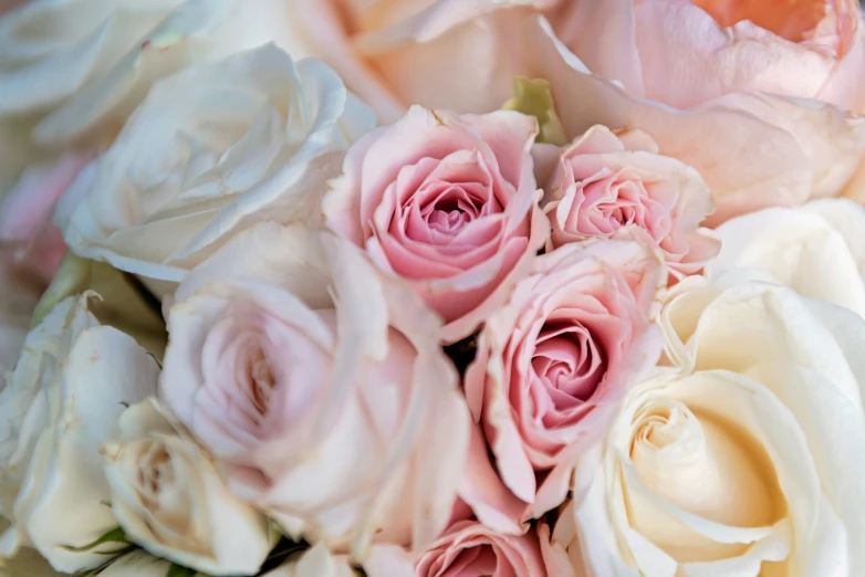 a bouquet of pink roses sits in the center of a bouquet