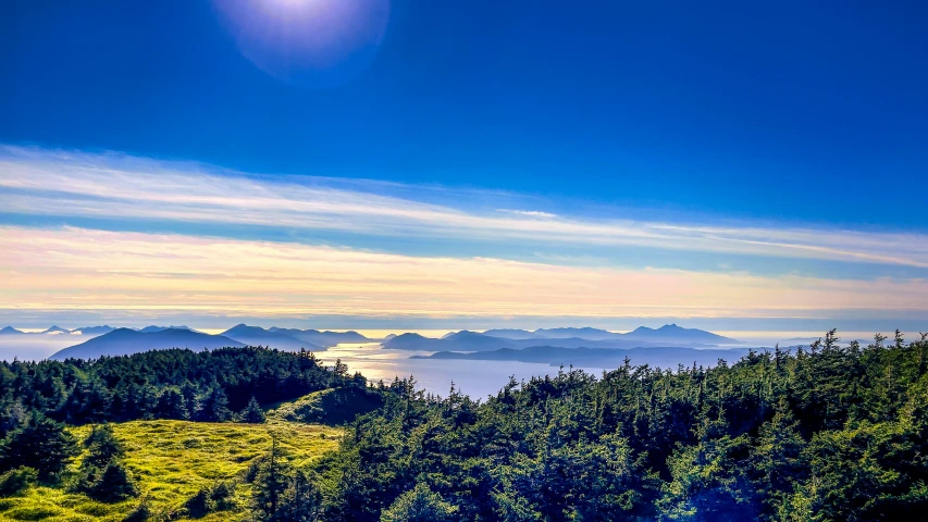 a beautiful view of the mountains above a forest