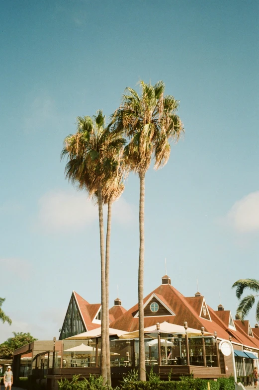 some palm trees and people walking outside a building