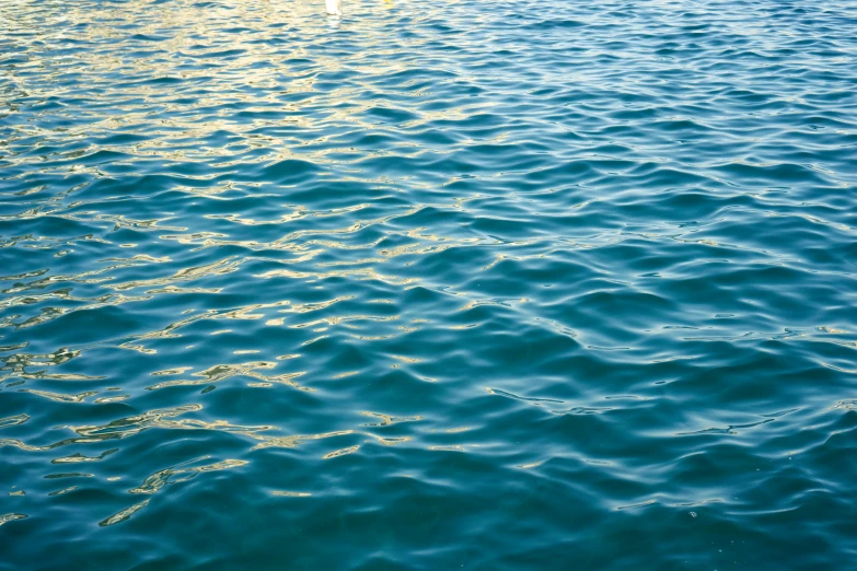 an aerial view of a boat from the water