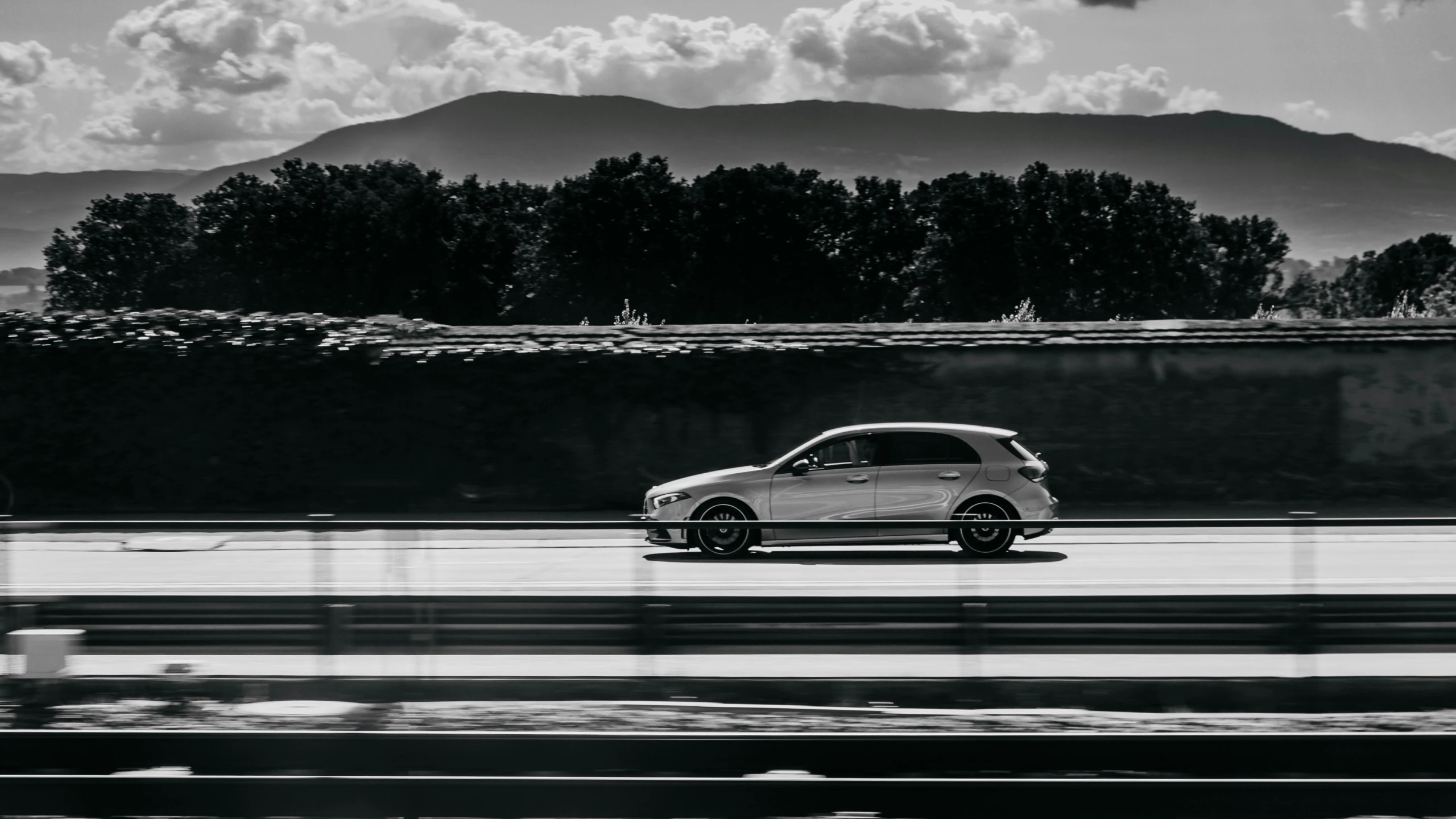 a car driving on a road near the forest