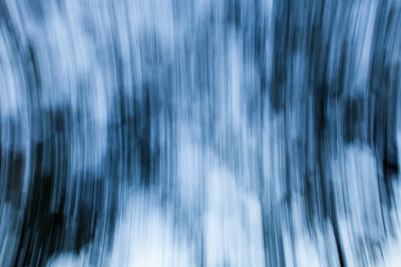 the trees are moving in their blurry form