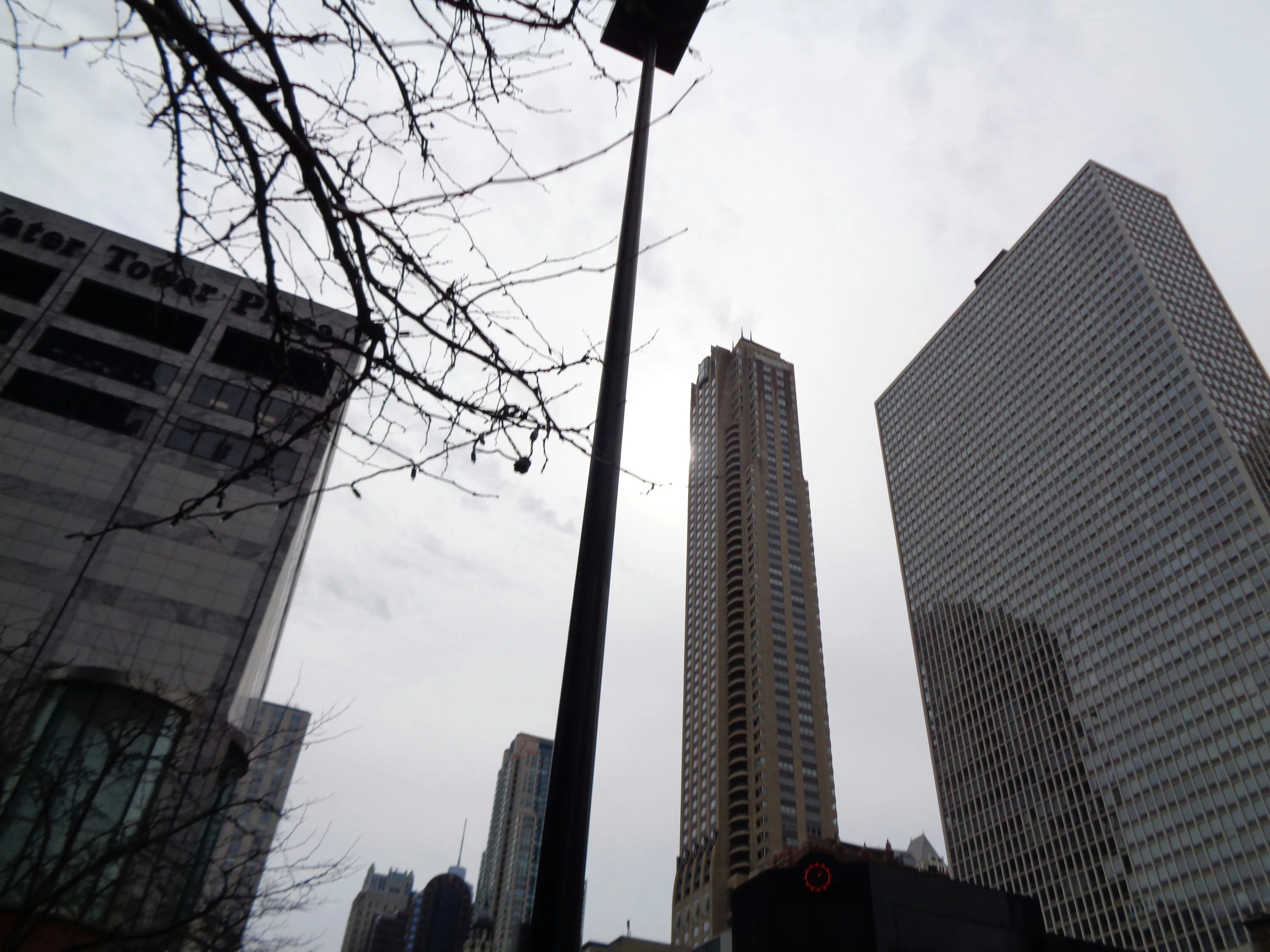 tall buildings surround a traffic signal and a tree nch