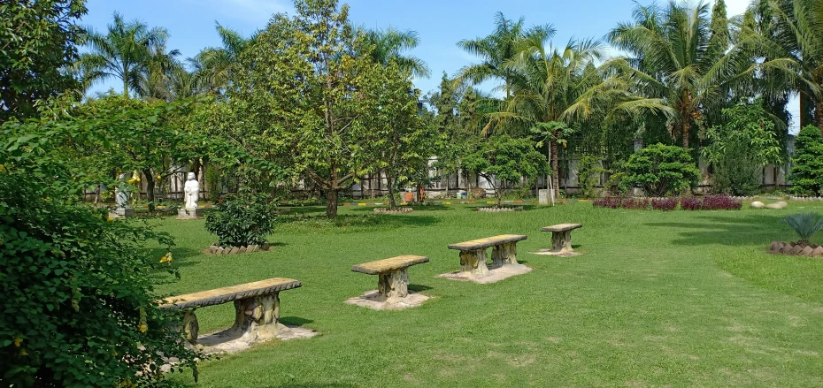 the garden has multiple wooden benches on each side of it