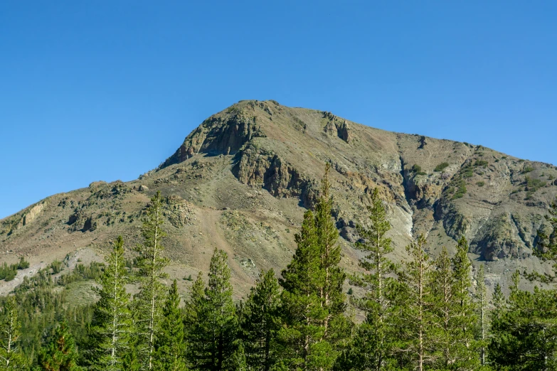 mountains rise above a forest with some trees in front