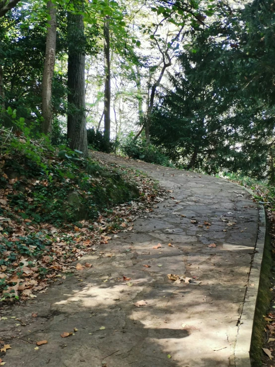 a path with a stop sign next to trees