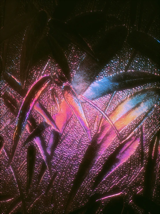 colorful pograph of grass under light through glass