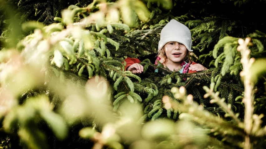 a  hiding in the woods with foliage