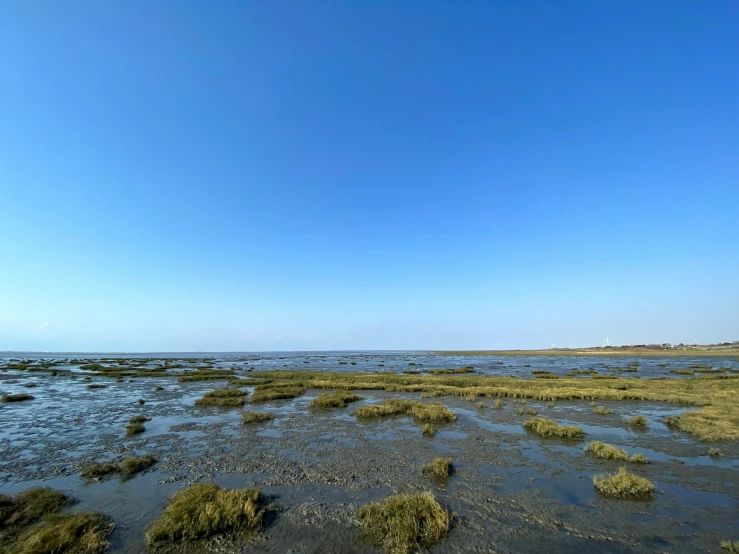 water covered ground near shore during daytime