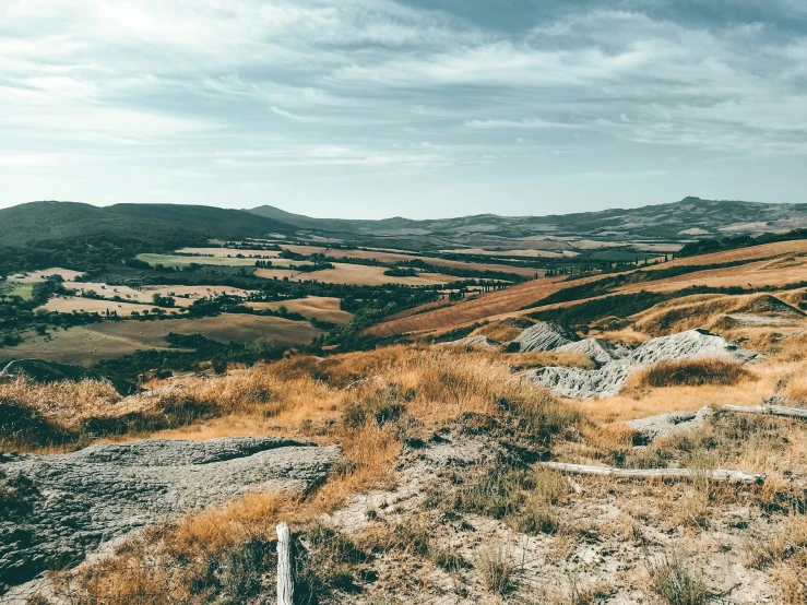 a barren area with small hills and lots of vegetation