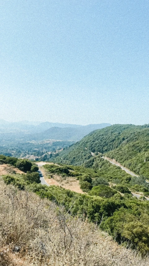 a valley filled with lots of trees and hills