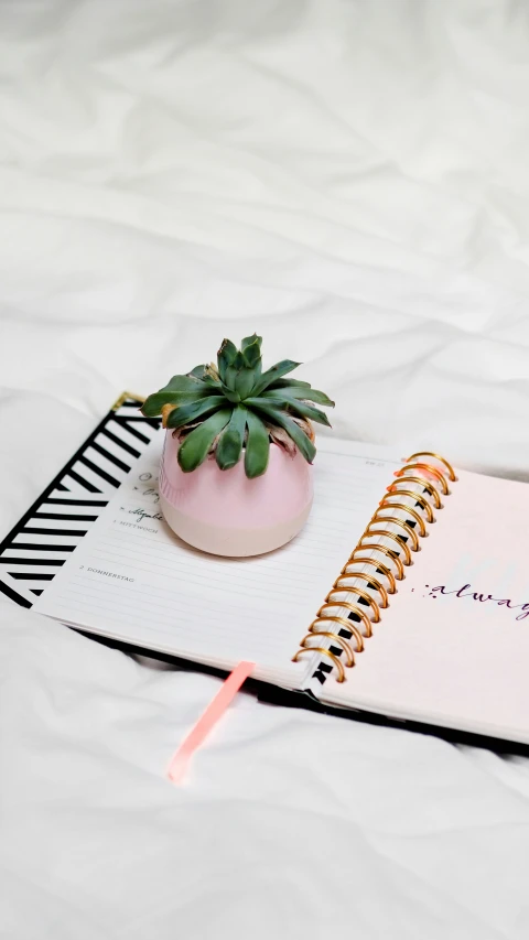 notebook with a pink vase, green plant and pen resting on top of it