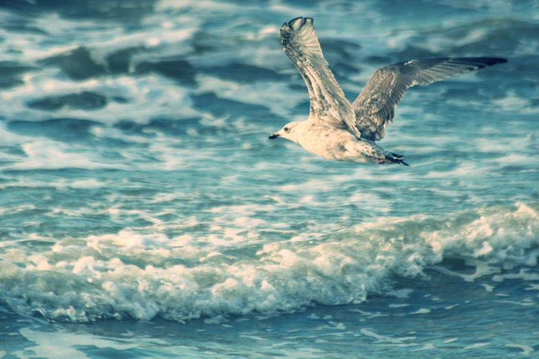 a bird is flying over a foamy sea