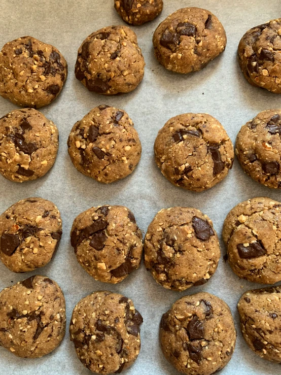 cookies lined up on a baking sheet in the kitchen