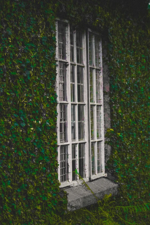 an image of an outside window made out of windows