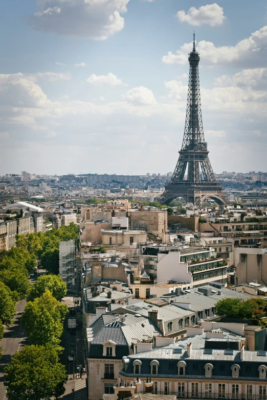 view of the eiffel tower and the roofs of buildings in paris, france