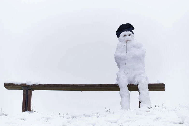 a snow man that is wearing a hat and posing