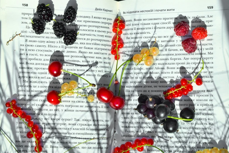 a close up of some berries on the page of a book