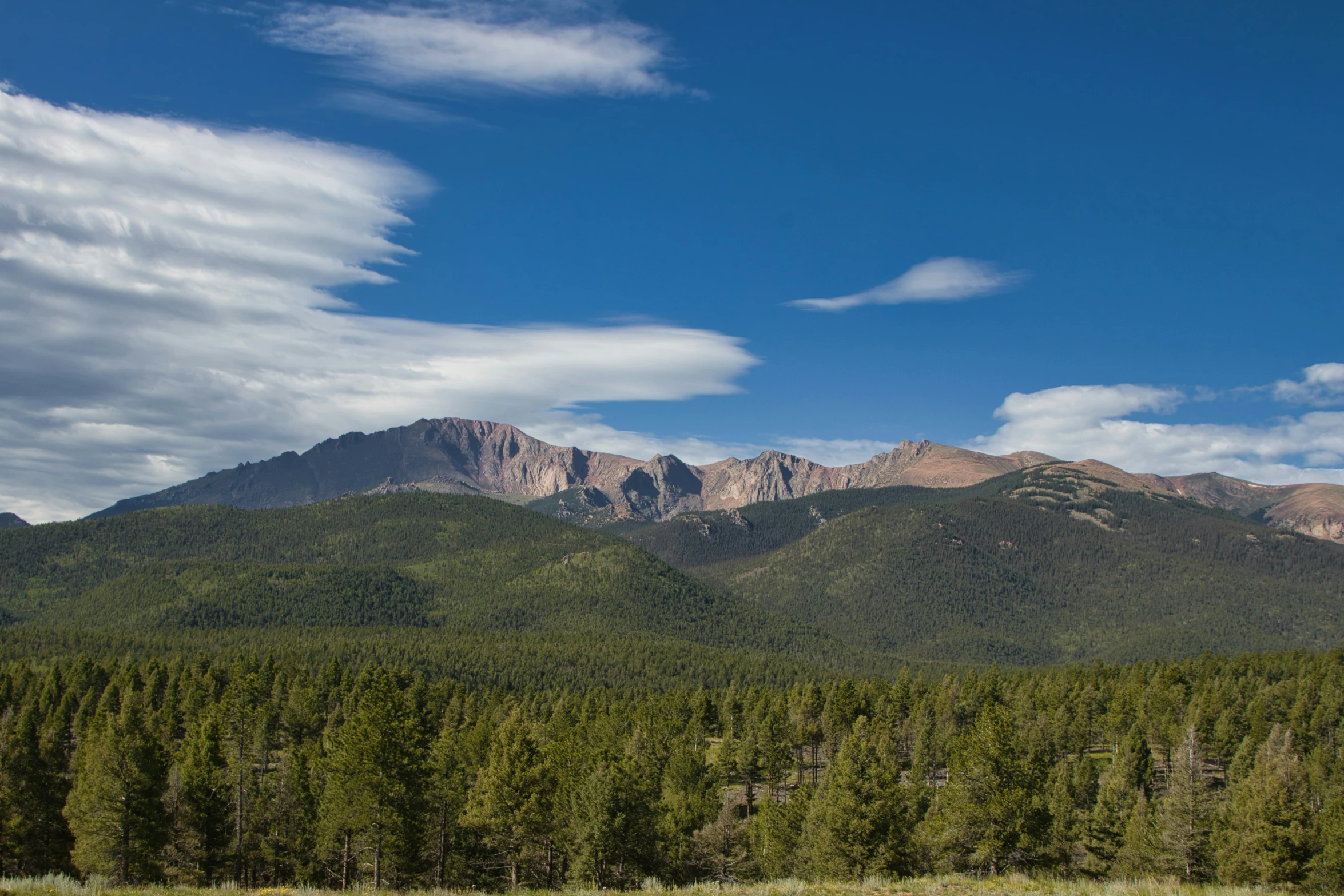 a field and forest are in front of mountains