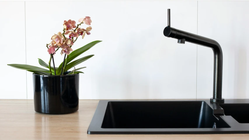 a sink in front of a counter with a flower plant inside it