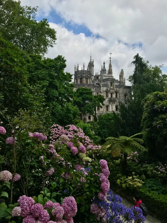 a castle in the middle of a lush green area