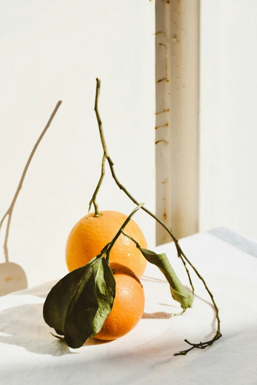 an orange is sitting next to a leaf