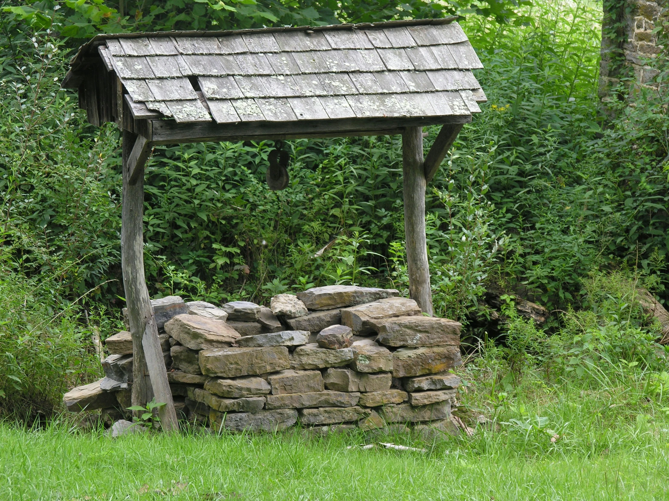 an outhouse is in the middle of some grass and plants