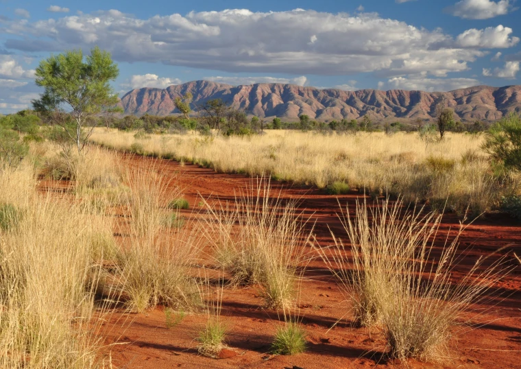 an image of the dirt path going to the mountains