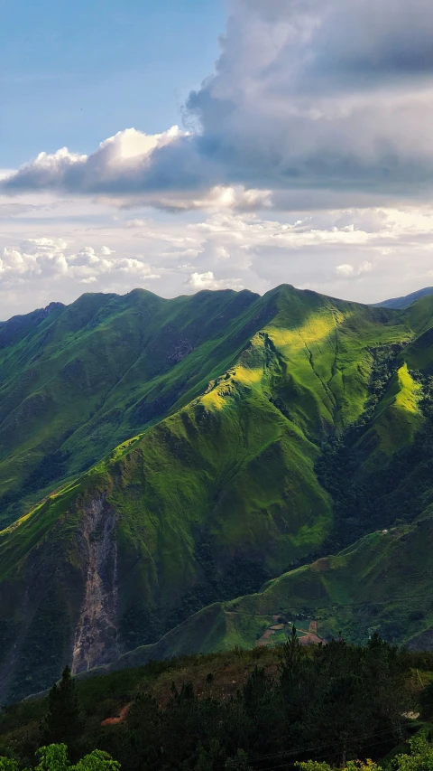 the mountains on the side have some trees and grass