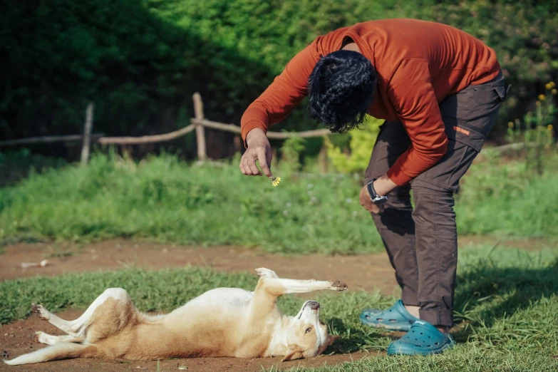 a man is standing next to a dog laying on the ground