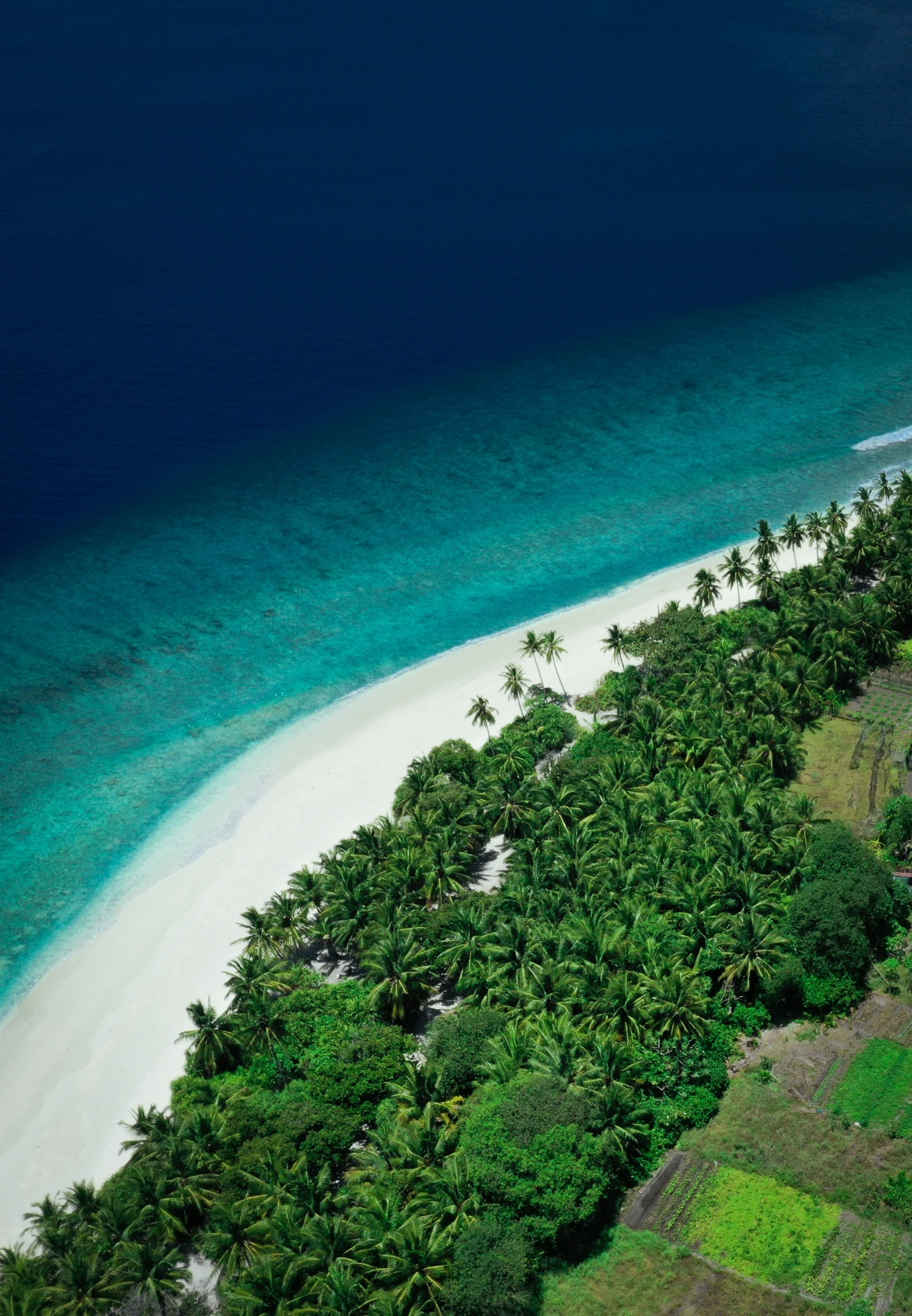 an island with two white sand beaches and many palm trees