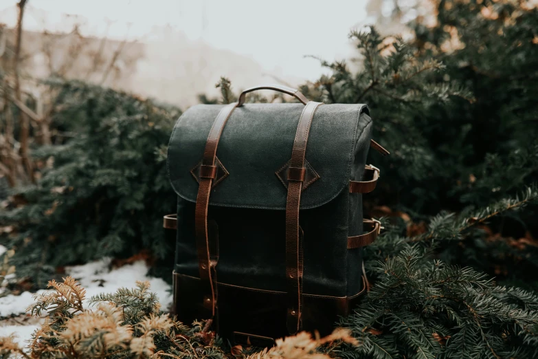 a black backpack sitting in the middle of some trees