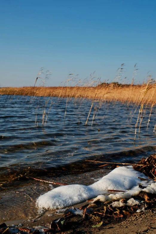 snow and ice on the shore of a lake