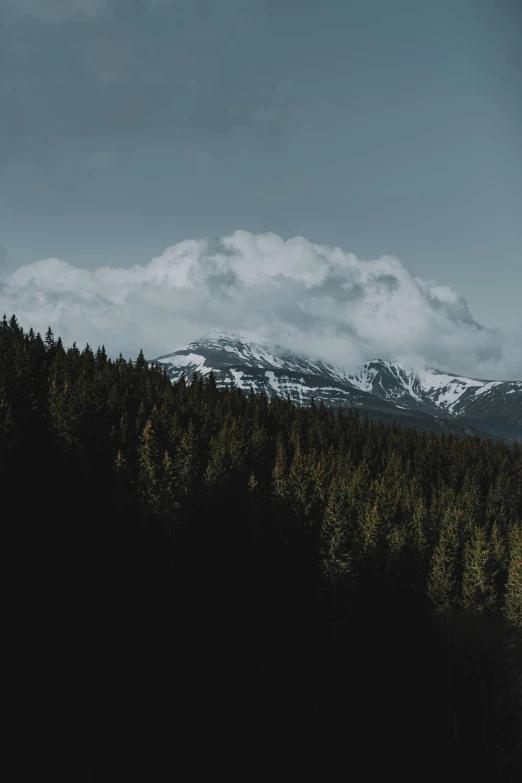 view of snow covered mountains and trees