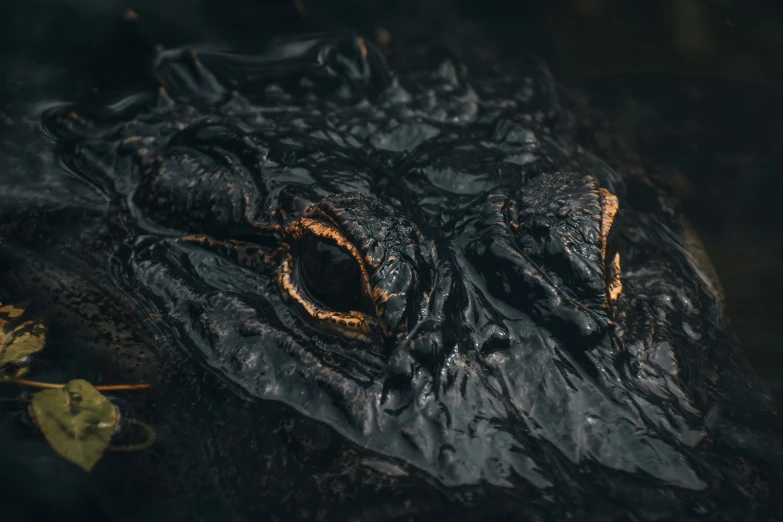 the head and eye of an alligator is shown in this closeup