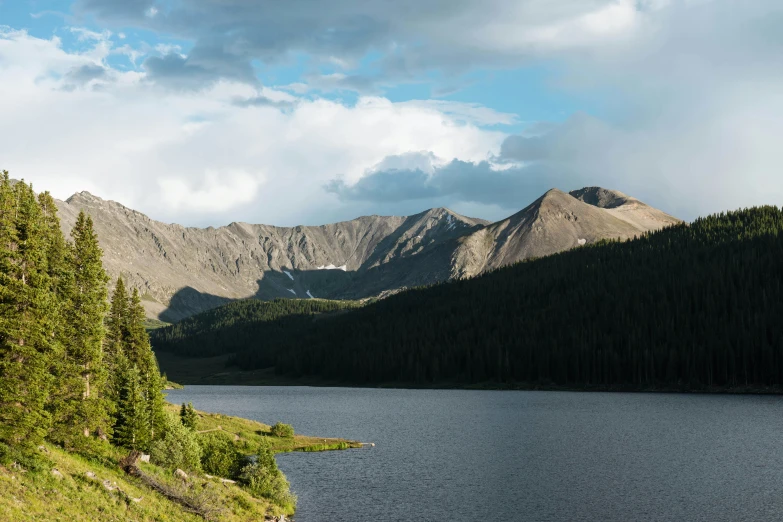 a body of water with trees around it