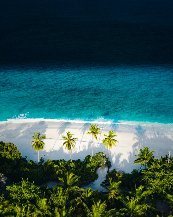 an aerial view of an island with palm trees and water